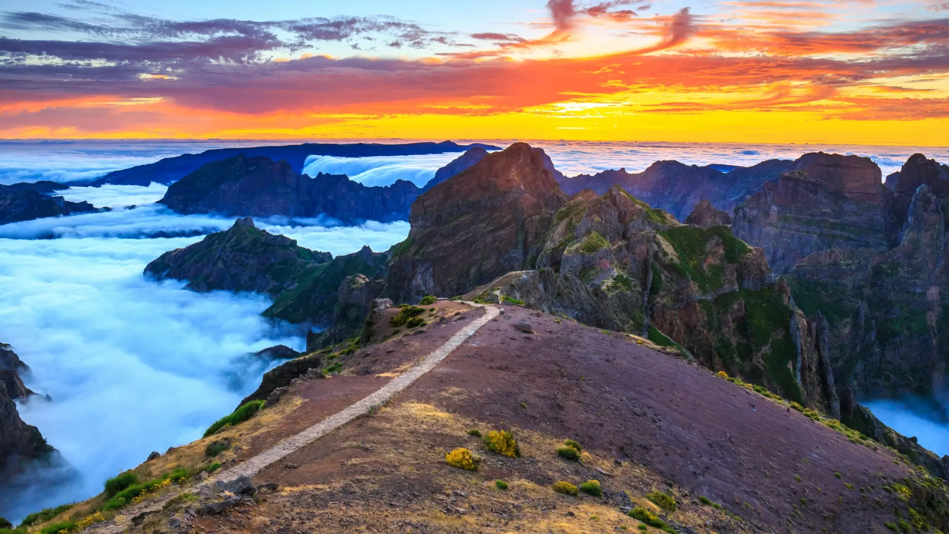 madeira